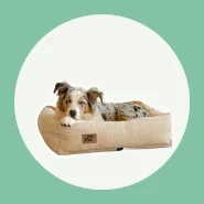 Caminha para o Seu Pet Descansar