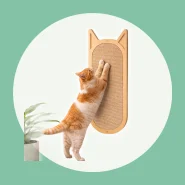 Arranhador para Entreter e Cuidar das Unhas do Gato
