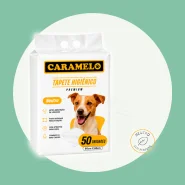 Tapete Higiênico para Facilitar a Rotina do Seu Pet