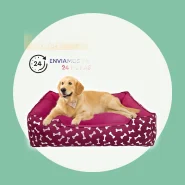 Caminha Confortável para o Seu Pet Descansar
