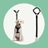 Cinto de Segurança para Viajar com Seu Pet