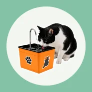 Fonte de Água para Cães e Gatos