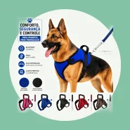 Peitoral com Guia para Passear com Seu Cão