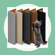 Arranhador para Entreter e Cuidar das Unhas do Gato