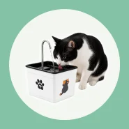 Fonte de Água para Cães e Gatos
