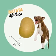 Brinquedo Batata Maluca Cachorro Tamanho P e G