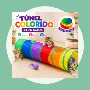 Túnel Colorido Gato Interativo Cachorro Labirinto Dobrável