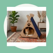 Casa Cama Toca Arranhador para Gato Cabana Pet