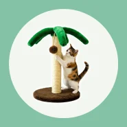 Arranhador Para Gatos Poste com Brinquedo Exclusivo Coqueiro