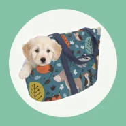 Bolsa de Transporte para Pet Caes e Gatos Passeio
