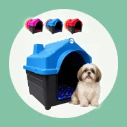 Casinha Plástica Cachorro N5 e N6 Porte Pequeno Médio Com Colchonete