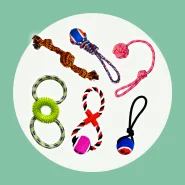 Kit 5 Brinquedo Cachorro Cordas Sortidas para Cachorro Savana Pet