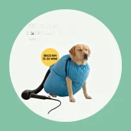 Saco Secador para Pet Secagem Rápida 15 a 30min