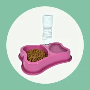 Comedouro Duplo Anti Formiga Pet Bebedouro Automático