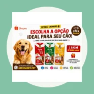 Petisco churu cremoso para cães