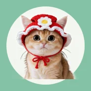 Chapéu de gato tricotado à mão com abertura nas orelhas