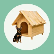 Casa Casinha De Cachorro Pet Madeira Pinus N°01 Porte Pequeno