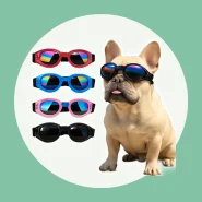 Óculos De Sol Pet Com Alça Elástica Ajustável UV Para Cachorro