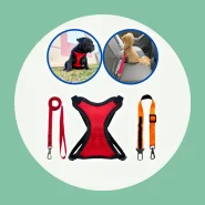 Cinto de Segurança para Viajar com Seu Pet