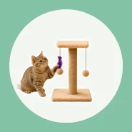 Arranhador Para Gatos Pet Poste Sisal Brinquedo Com Bolinha Pena Base