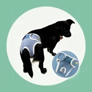 Fraldas Para Cães Gatos Sweet Print Dog Fisiológicas Femininas