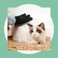 Luva Escova Nano Magnética Tira Pelos dos Pets Cães