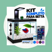 Aquário Completo Beteira  Aquário + Luminária + Decorações.