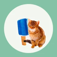 Escova de Parede para Gatos  Autoescovação, Massagem e Coçador.