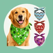 Kit 3 Bandanas Para Cachorro Pet Tecido Macio