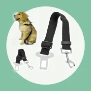 Cinto de Segurança para Viajar com Seu Pet