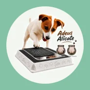 PetyCure Arranhador de Unha para Cachorro Caixa Lixa
