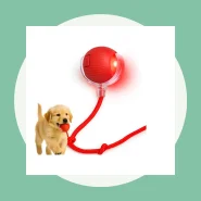 Brinquedo Interativo para Divertir Seu Pet