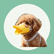 Focinheira Bico de Pato para Cães