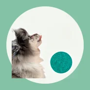 Tapete de Lamber Labirinto Da Pet Games Brinquedo Comedouro