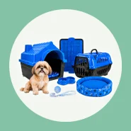 Kit Coleira Casinha Caixa De Transporte Cama Para Cachorro Pequeno