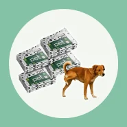 Kit Jornal Pet Higiênico 50 100 150 200 Folhas Grande