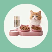 Kit 3 Peças: Comedouro e Bebedouro Elevados