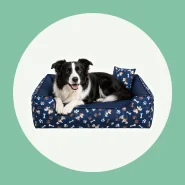 Caminha para o Seu Pet Descansar