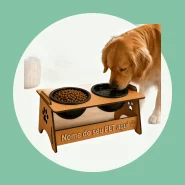 Comedouro e Bebedouro Elevados para Cães e Gatos