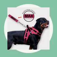 Peitoral com Guia para Passear com Seu Cão