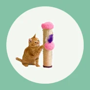 Arranhador para Entreter e Cuidar das Unhas do Gato