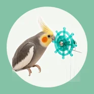 Brinquedo Interativo para Divertir Seu Pet