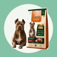 Ração para Cachorro 15kg Special Dog Ultralife Gold Performance