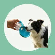 Garrafa Portátil para Cachorro e Gatos 2 em 1