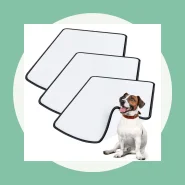 Tapete Higiênico para Facilitar a Rotina do Seu Pet