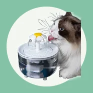 Fonte de Água Automática com Filtro para Cães e Gatos