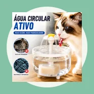Fonte de Água com Filtro para Gatos