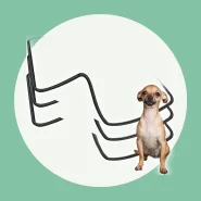 Tapete Higiênico para Facilitar a Rotina do Seu Pet