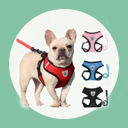 Peitoral para Passeios com Seu Pet