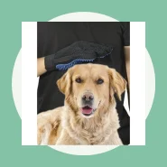 Luva Escova Nano Magnética Tira Pelos dos Pets Cães